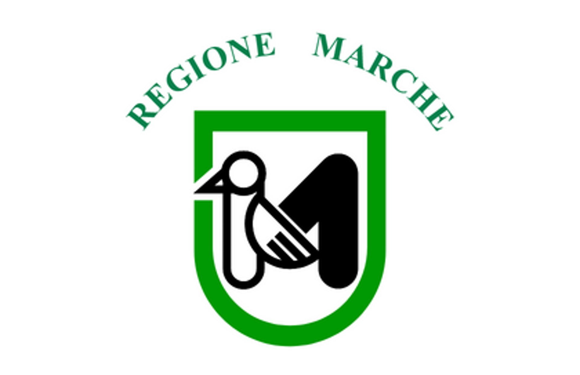 CREDITO FUTURO MARCHE